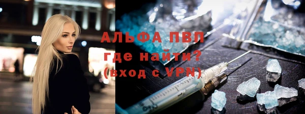 гашик Алексин