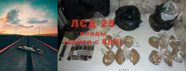 гашик Алексин