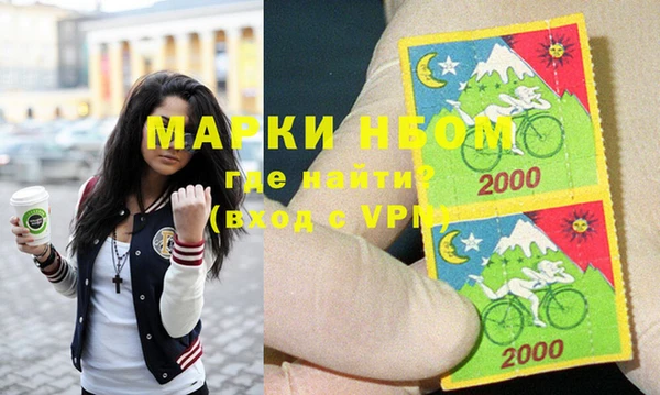 гашик Алексин