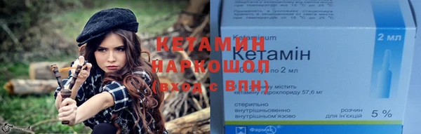 гашик Алексин