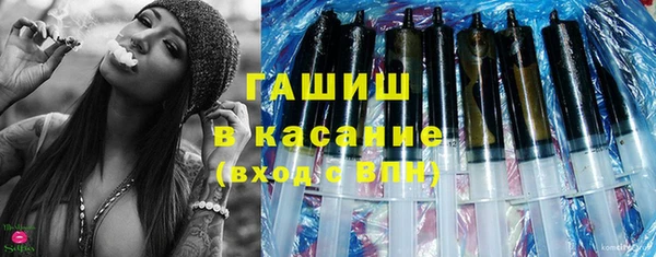 гашик Алексин