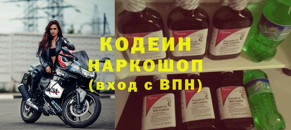 гашик Алексин