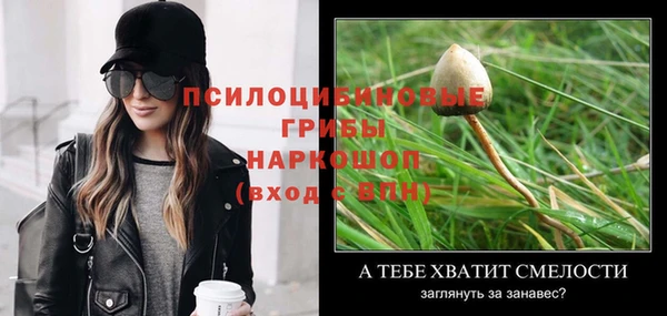 Альфа ПВП Алзамай