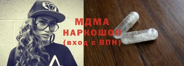 гашик Алексин